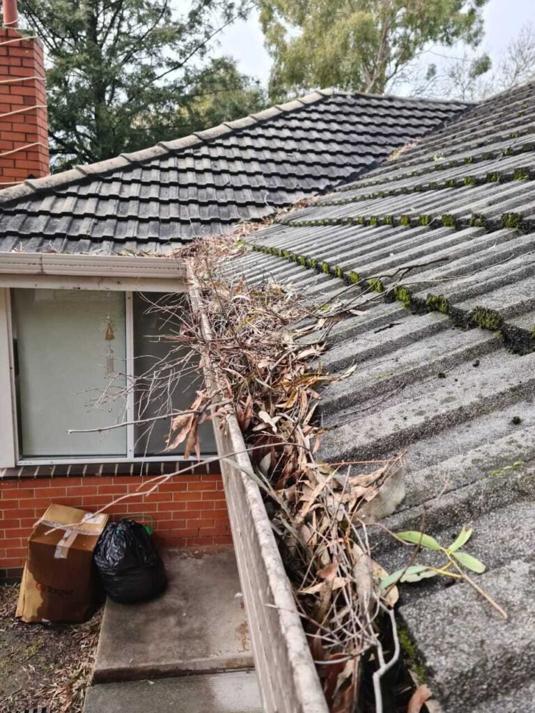 A cluttered gutter filled with dried leaves and twigs between two tiled roof sections of a house. A red brick wall and trash bags are visible below.