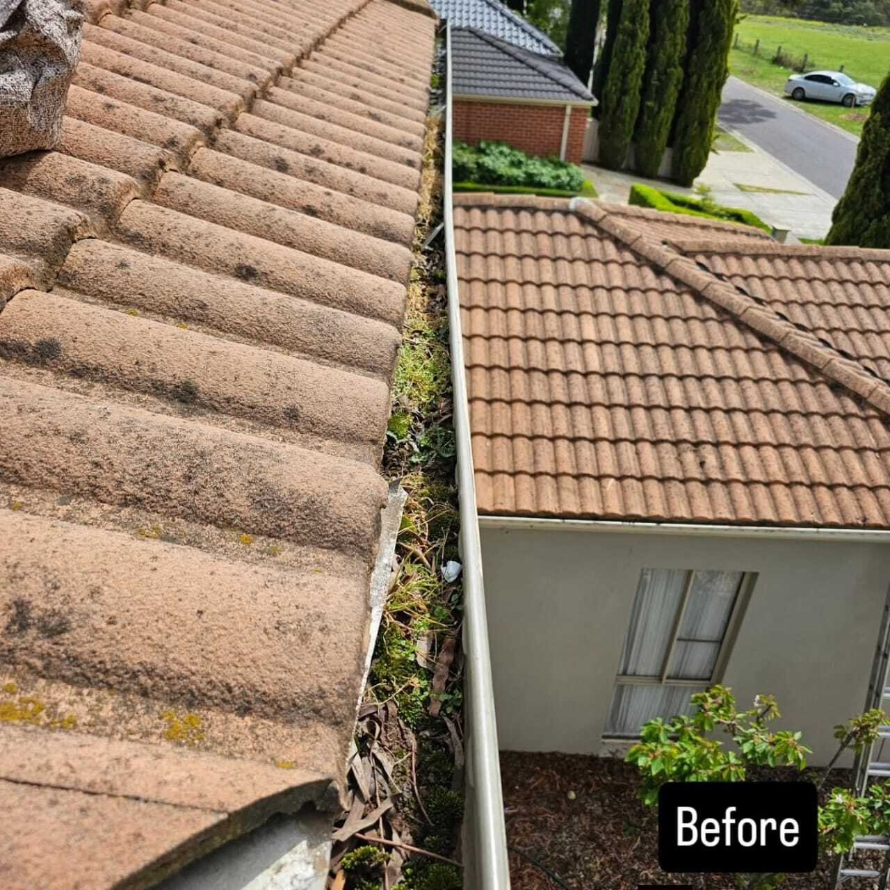 Close-up of a roof gutter filled with leaves and moss on a tiled roof under a clear sky. A 