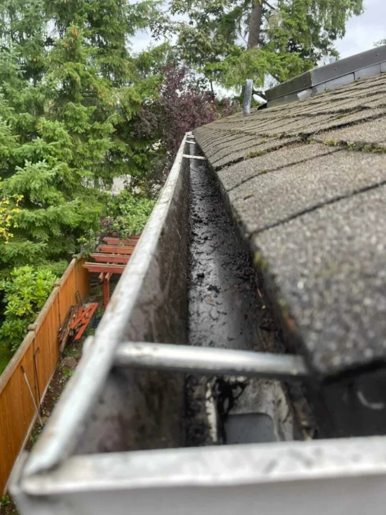 Close-up of a house gutter filled with dirt alongside a shingled roof. In the background are lush green trees and a wooden fence.