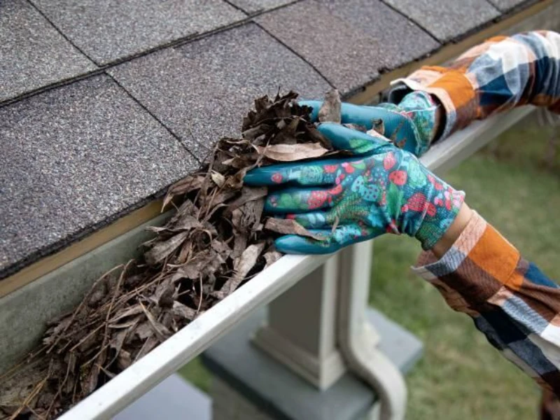 Person in colorful gloves and plaid shirt cleaning dry leaves from a house gutter. The scene conveys a focus on maintenance and upkeep tasks.