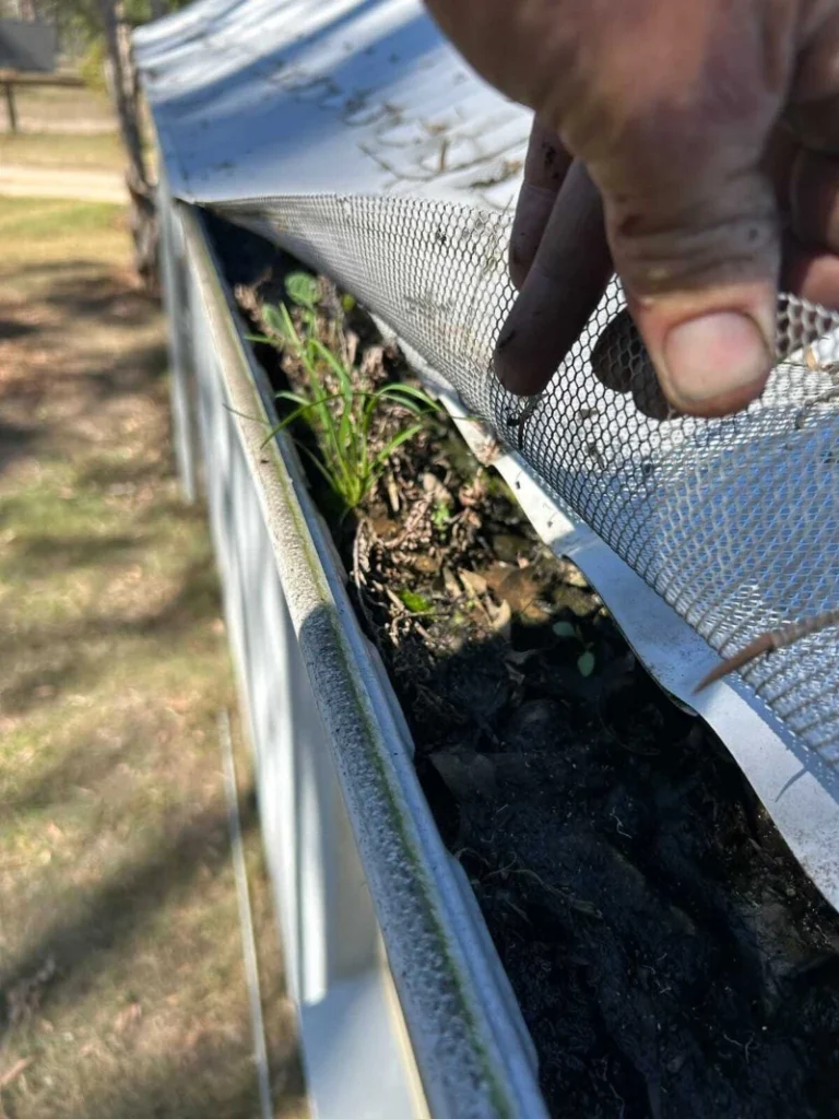 A hand lifts mesh from a debris-filled gutter with plants growing inside. The scene suggests neglect and the need for gutter maintenance.