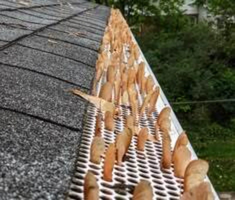 Gray roof shingles with a white gutter guard clogged by numerous brown maple seeds. The background shows blurred green foliage.