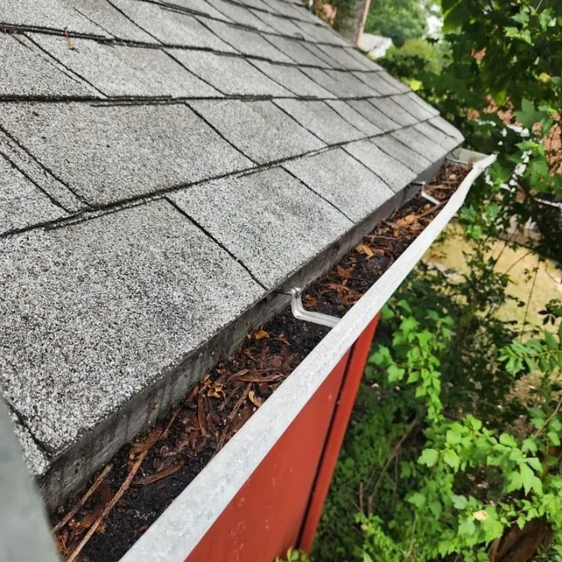 A gutter attached to a red building is filled with leaves and debris beneath a shingled roof, surrounded by green foliage on a clear day.