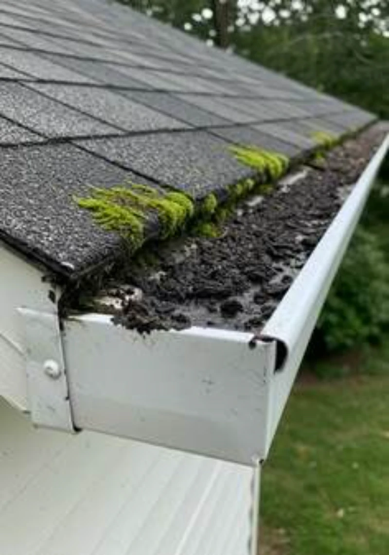 A close-up of a house gutter filled with dirt and debris, with bright green moss growing along the edge of the shingled roof, suggesting neglect.
leaf removal from gutters Ross Township, PA